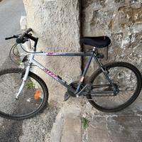 bicicletta Atala donna