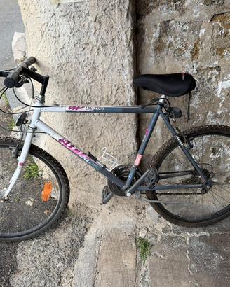 bicicletta Atala donna