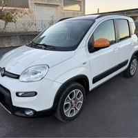Fiat Panda 4X4 diesel 30esimo anniversario