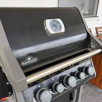 Barbecue a gas Napoleon Rogue 425 RSB