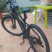 bici elettrica