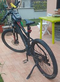 bici elettrica