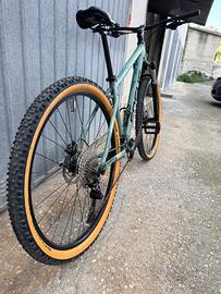 Bici mtb focus
