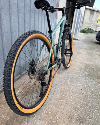 Bici mtb focus