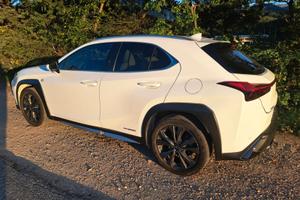 Lexus ux250f sport 4 ruote motrici - 2019