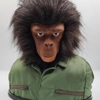 Planet Apes testa dvd originale