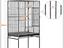Immagine 2