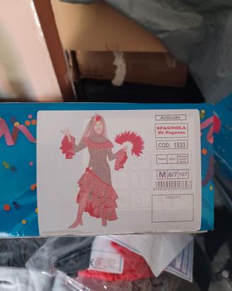 Vestito carnevale