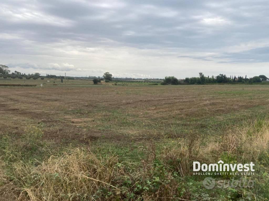 Terreno di 46000 m² a Capalbio - Vista 2