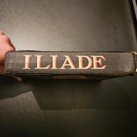 Iliade, Edizione Vintage per la scuola