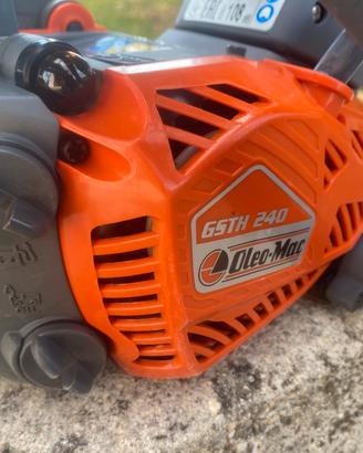 Motosega oleomac  da potatura