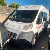 Ricambi Fiat Ducato 2.3 2010 F1AE0481D