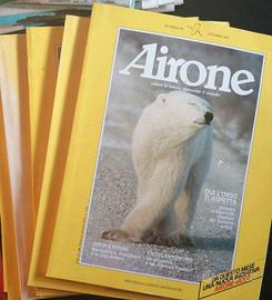 Collezione Airone