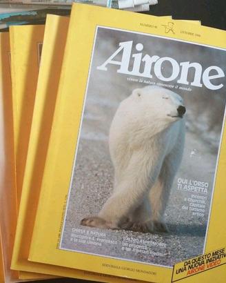 Collezione Airone