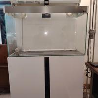 Acquario 170 litri. 