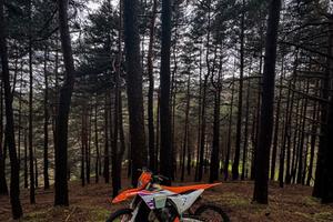 Ktm 125 sx 2024 targato