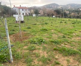 Vendita e locazionedi particelle terreno agricolo