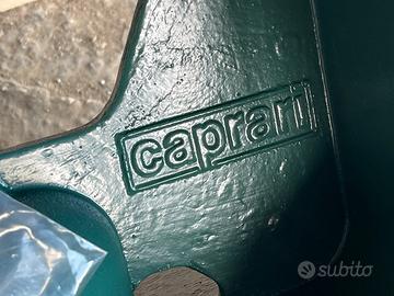 Verticale caprari
