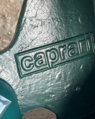 Verticale caprari