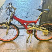 Bicicletta MTB