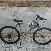 Bicicletta Mountain bike 