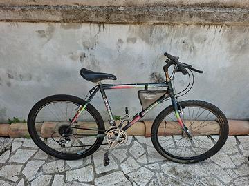 Bicicletta Mountain bike 