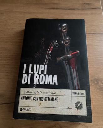 Libro “I luli di Roma”