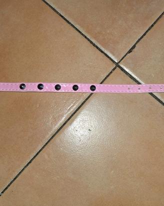 Collare Collarino Gatto Gatta rosa con Borchiette
