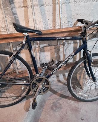 MTB 26 pollici DIAMOND BACK OUTLOOK