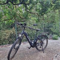 e-bike Alpeck trecy come nuova