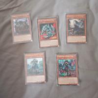 5 carte di Yu-Gi-Oh 