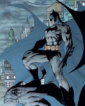 Fumetti Batman Perfetti!