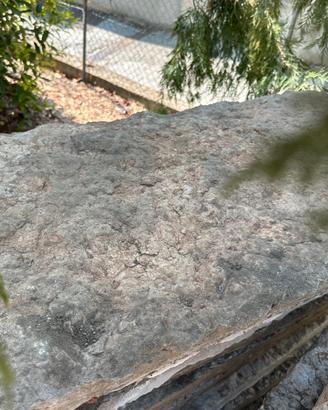 Lastre di marmo da giardino