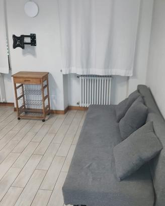 Bilocale ristrutturato disponibile