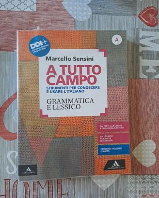 A TUTTO CAMPO testo di grammatica