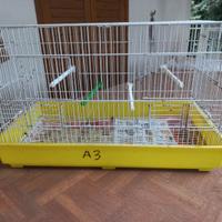 Gabbie ed accessori per gabbie