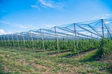 Reti Antigrandine Protezione Volatili e Orti