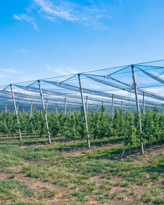 Reti Antigrandine Protezione Volatili e Orti