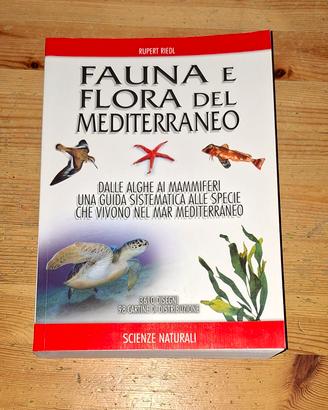 Fauna e flora del mediterraneo