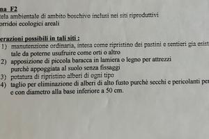 Terreno a Trieste, Cologna