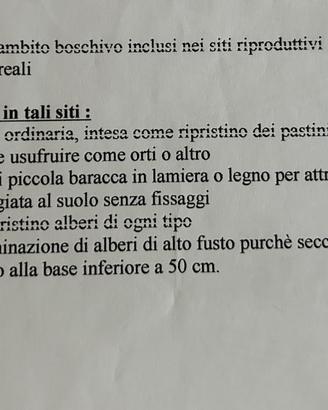 Terreno a Trieste, Cologna