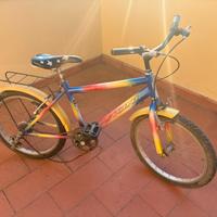 Bici Vicini