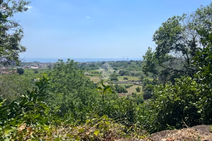 TER. AGRICOLO A GIARRE