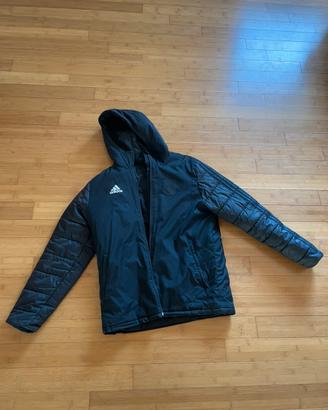 Giaccone adidas Virtus Entella