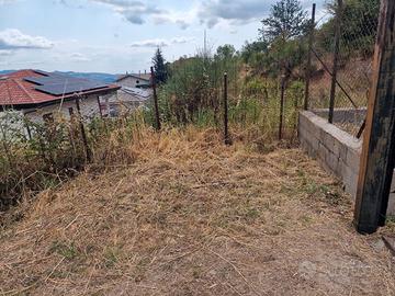 Terreno Foresta di Petilia Policastro