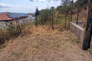 Terreno Foresta di Petilia Policastro