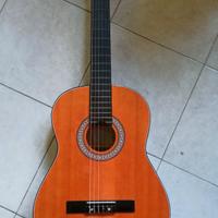 chitarra con custodia 