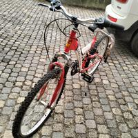 biciclette da adulto e da bambino 50€