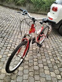 biciclette da adulto e da bambino 50€