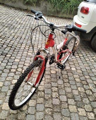 biciclette da adulto e da bambino 50€